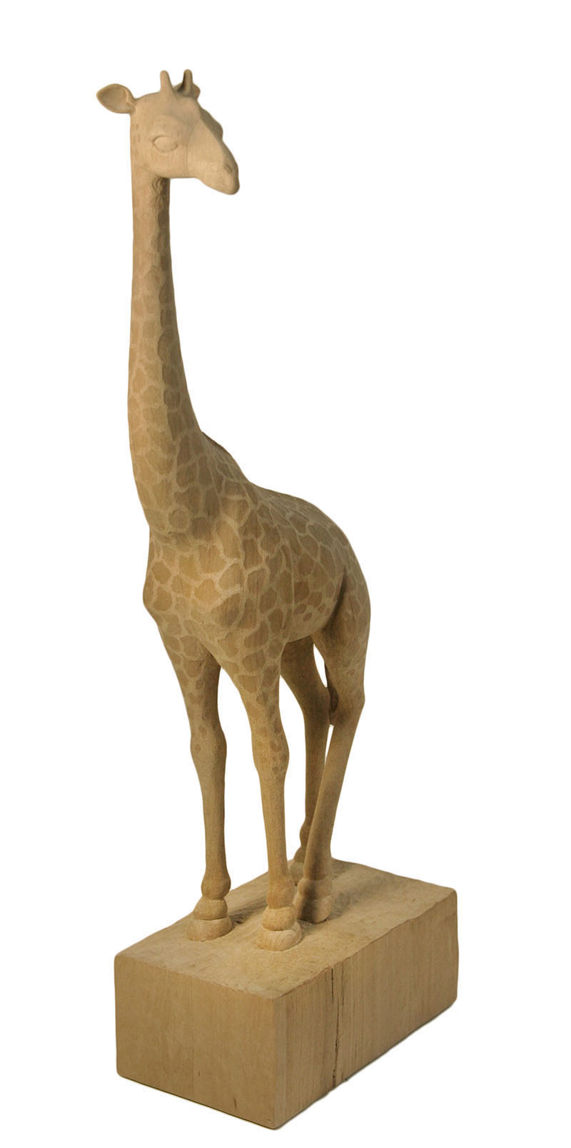 Giraffe Kim Schypulla